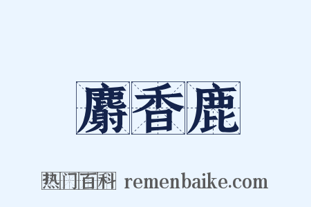 麝香鹿是什么意思的图片